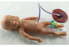“康為醫療”高級新生兒臍帶護理模型,臍帶護理模擬人