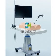 “康為醫療”腹腔鏡（生物仿真材料）模擬訓練系統