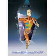 “康為醫療”系統解剖3D虛擬教學系統
